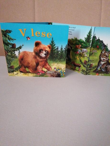 Kniha - hádanky z lesa, 