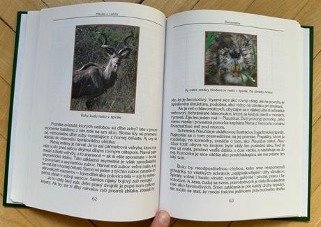 Kniha živá symetria mikuláš juraj lisický,