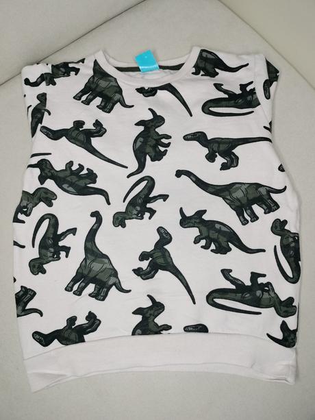 Pepco dinosaury mikina, pepco,122