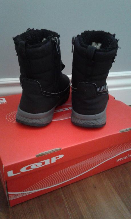 Snehule loap 31, loap,31