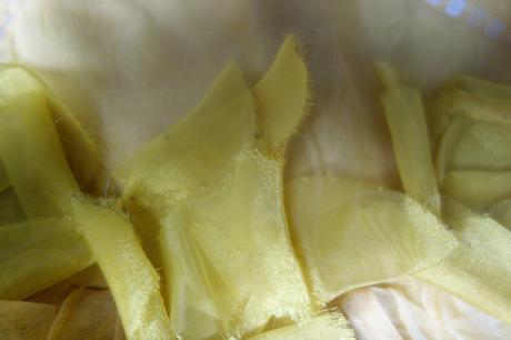 Satocky next signature, next,110