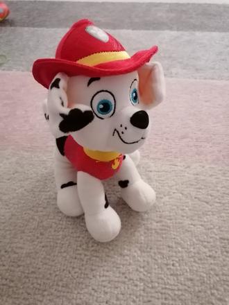 Marshall labkova patrola,