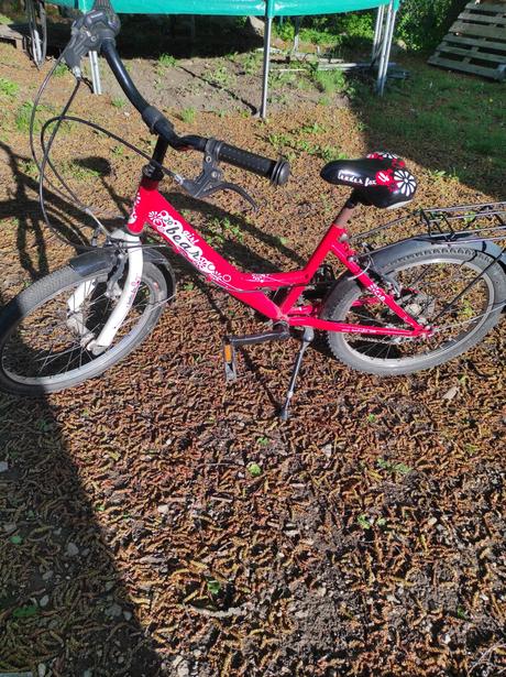 Dievcensky bicykel vel.20, 20