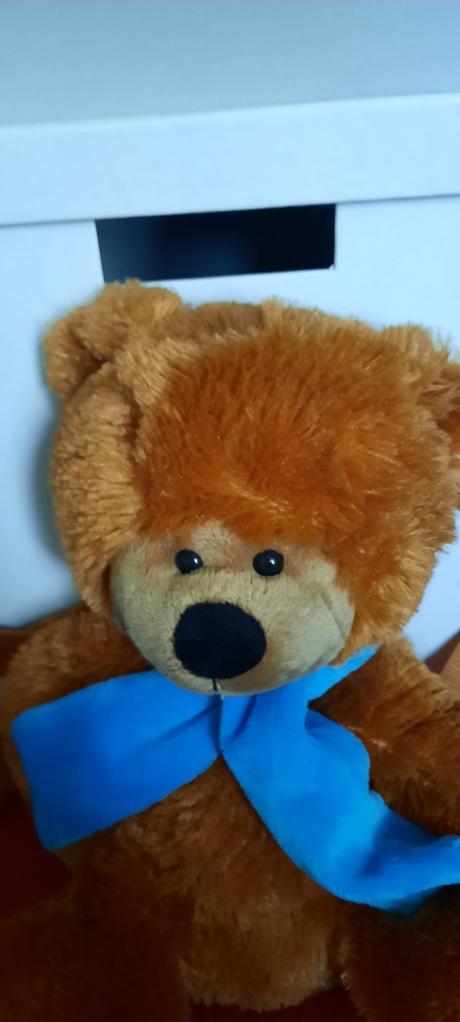 Ruksacik krasny -zn. bear brothers, dl.32 cm,