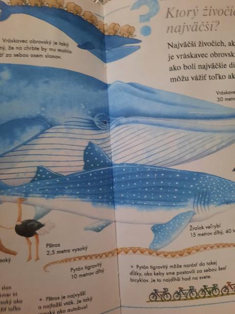 Chcem vedieť prečo - detská encyklopédia,