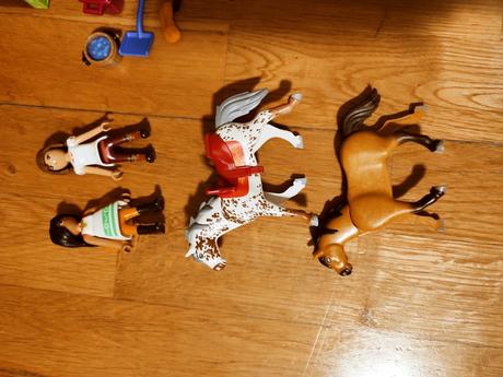 Playmobil - spirit s farmou, 