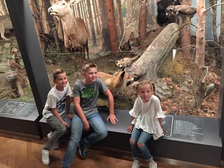 Super rifle, next,110