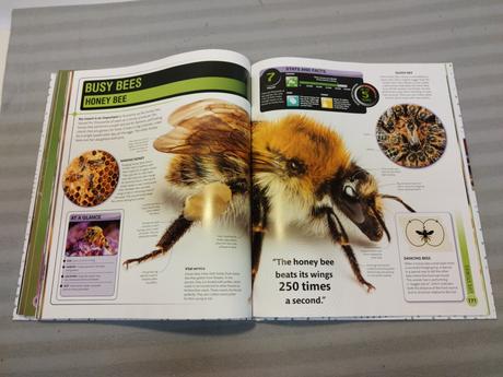 Dr george mcgavin - dk super bug hb nsu23,