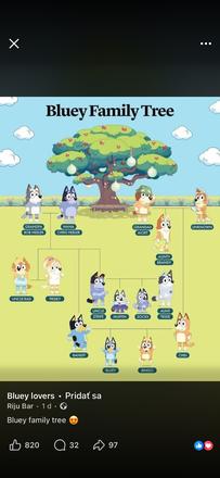 Doučovanie angličtiny, 