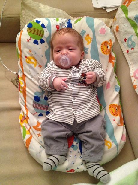 Menžestrové nohavice, ergee,50