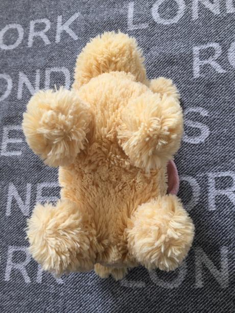 Dievcenska kabelka pes, 