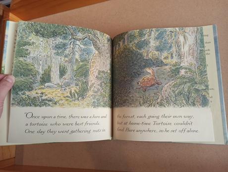 Margaret wild rosie and tortoise hb,