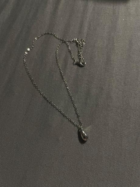 Nahrdelnik kvapka strieborny, 