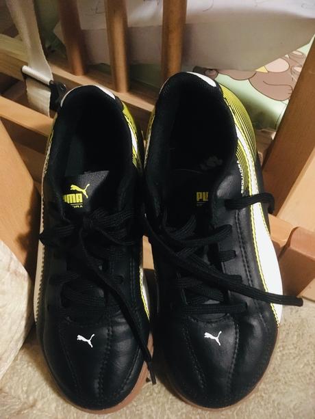 Halovky puma, puma,33