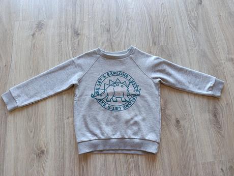 Chlapčenská sivá mikina s dinosaurom, f&f,116