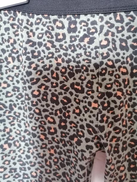 Leo leginy, pepco,134