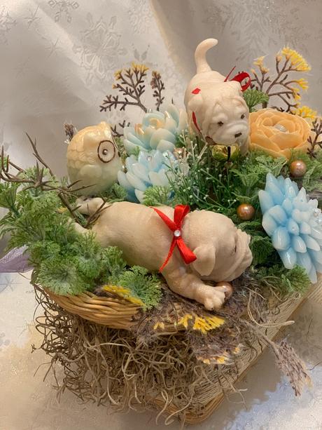 Detska mydlova kytica, 