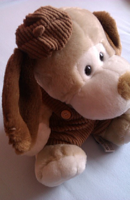 Hnedý psík top stav,