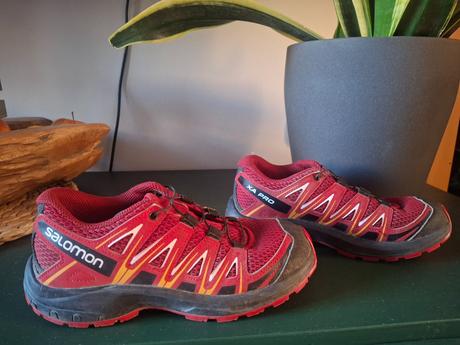 Salomon c.35, salomon,35