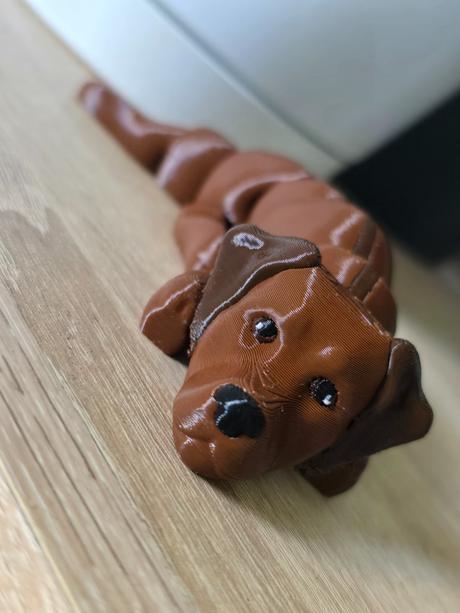 Pohyblivé plemená psov,