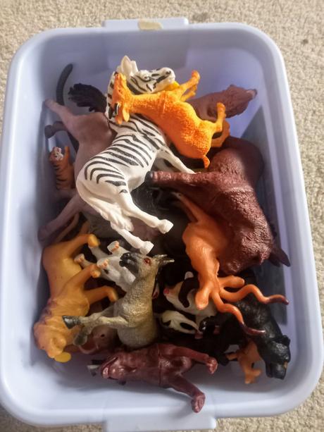 Zvieratká v kufríku, 