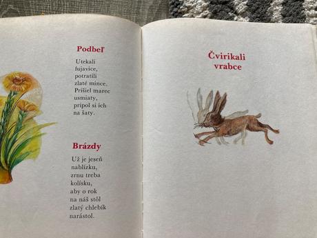 Mám básničku na jazýčku (1991),