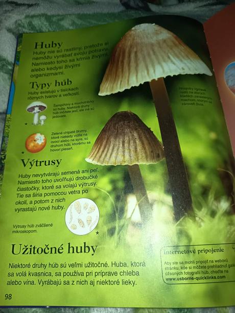 Detska encyklopedia,