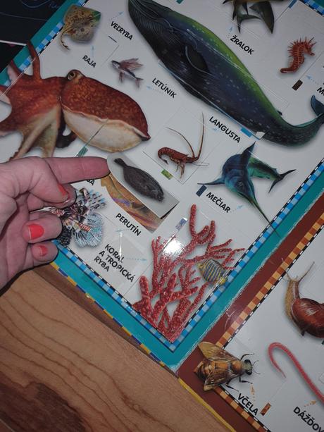 Kniha zvieratá pre najmensich, 