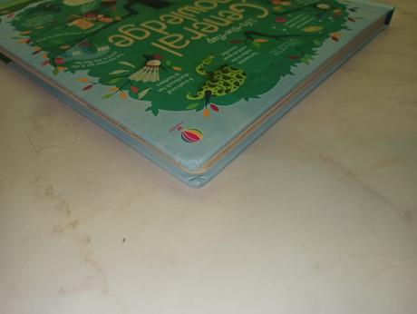 Usborne - lift the flap - general knowledge,