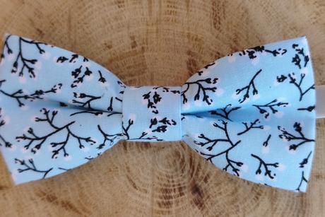 Chlapčenský motýlik,