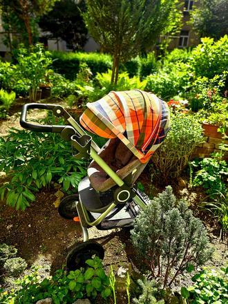 Stokke kočík + autosedačka britax, postieľka a iné, stokke,stokke scoot v3