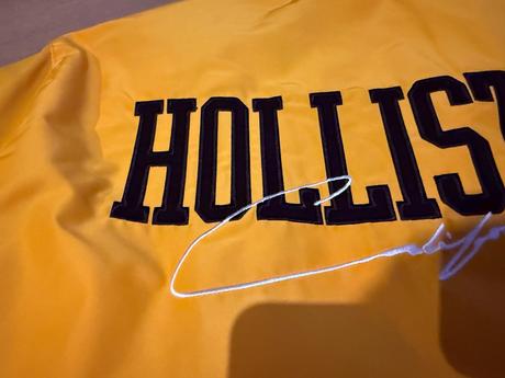 Bunda hollister, hollister,l