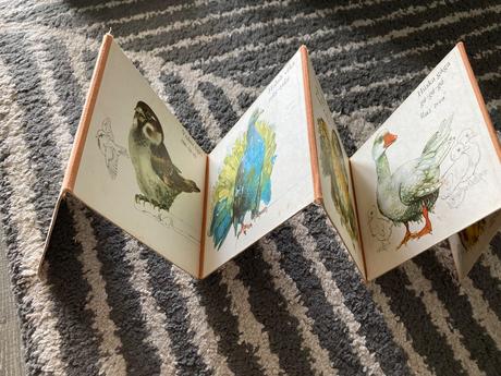 Medzi vtákmi leporelo (1987), 