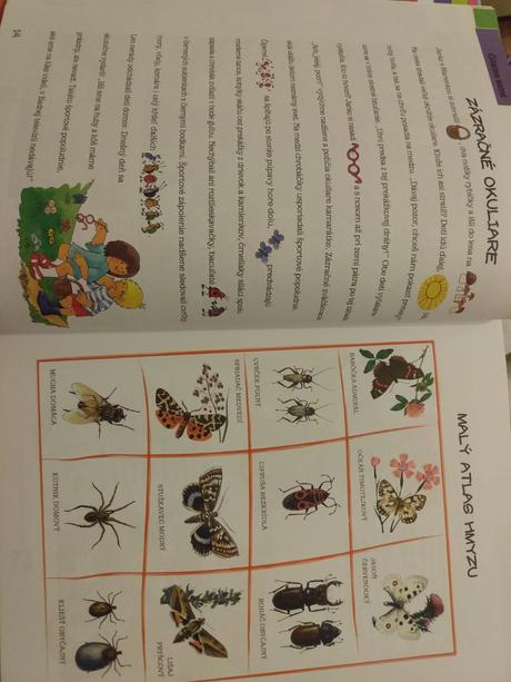 Ottova veľká kniha prvák, 