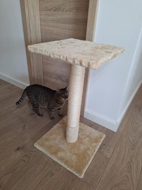 Škrabadlo pre mačky, 