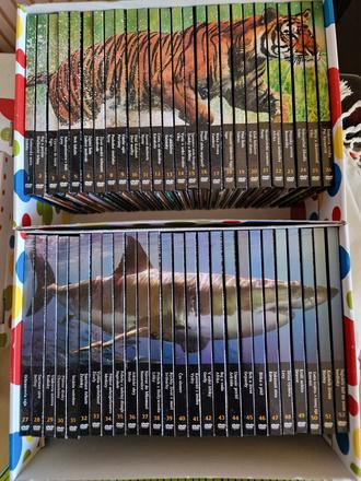 Predátory zblízka -natural killers, 