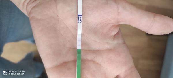 Ovulačný test dr. Max