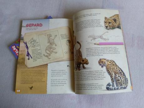 Bob a tom expedícia afrika, 