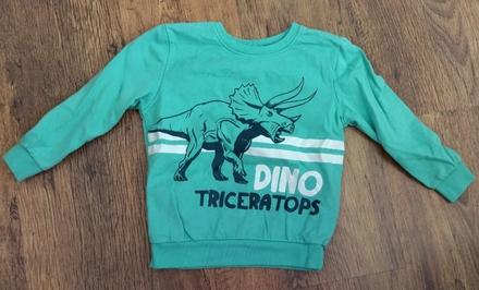 Mikina dino, 110