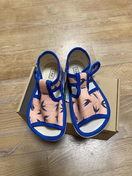 Rak papučky, rak,23 / 26 / 30