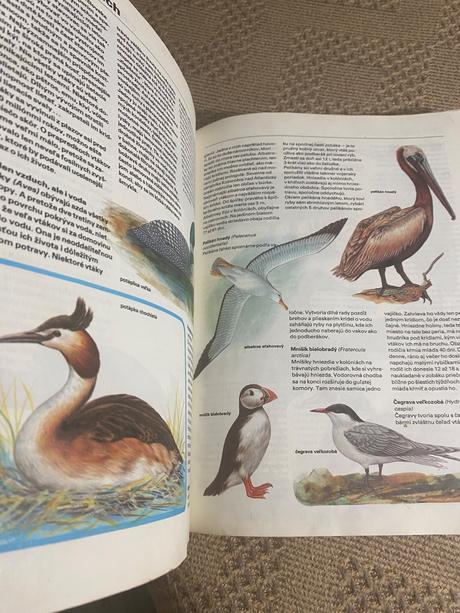 Pestrá príroda luděk j. luděk jindřich dobroruka,,