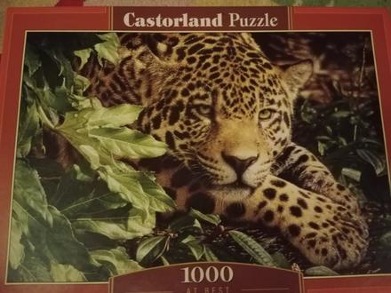 Puzzle leopard, 
