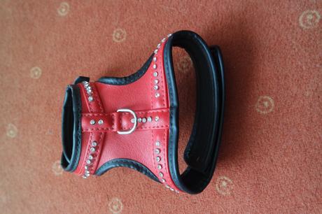 Postroj na psíka zdobený,