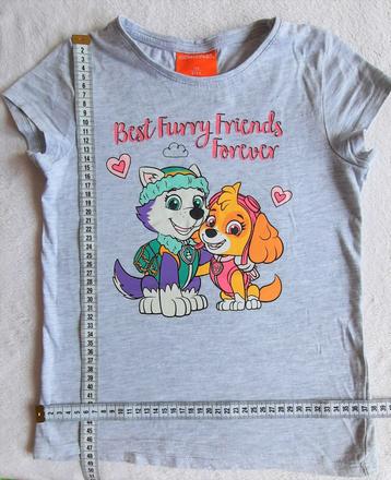 Tričko paw patrol skye a everest, nickelodeon,134