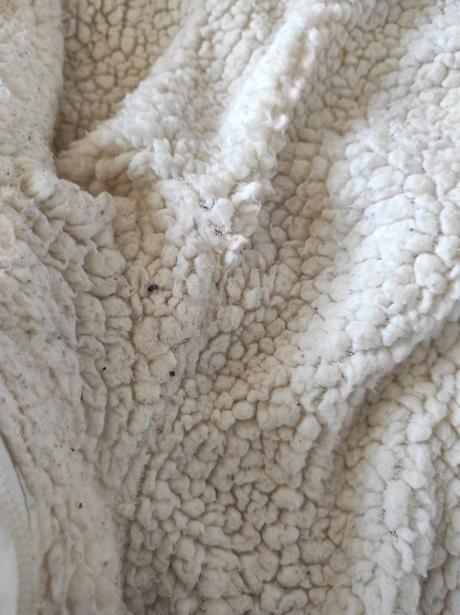 Overal na zimu veľmi pekný stav, lupilu,74