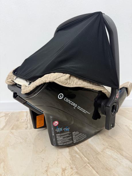 Vajíčko concord, concord