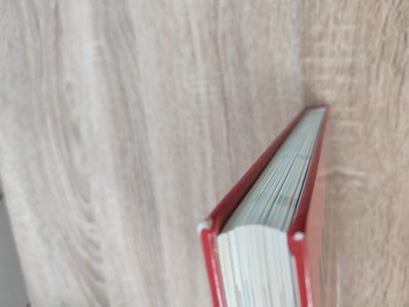 1000 rád pre domácich majstrov, 