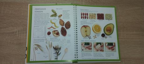 Prvá kniha hier s prírodou, 