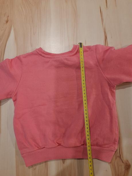 Mikina so psikom, pepco,98