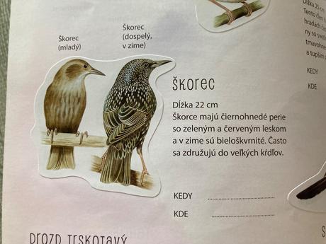 Kniha o zvieratách s nálepkami-zoo,záhrada,motýle,